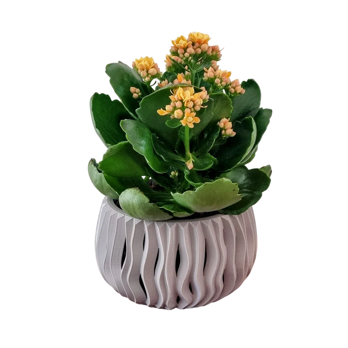 Bloempot Finn