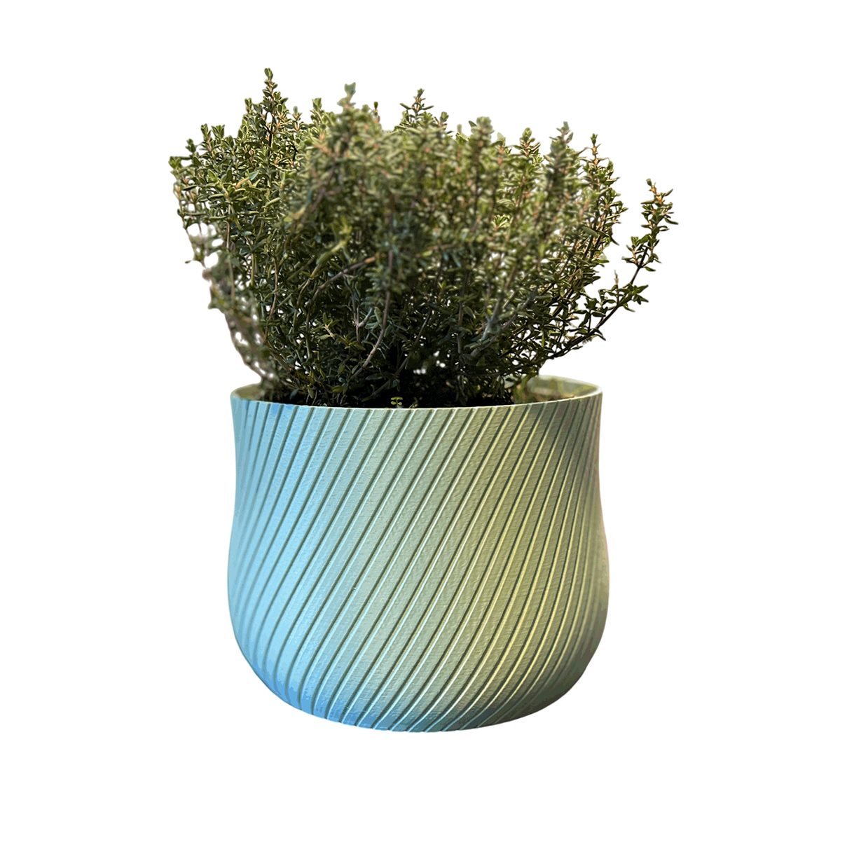 Bloempot Mojo